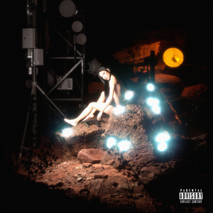 大动物和外国洋妞操逼
